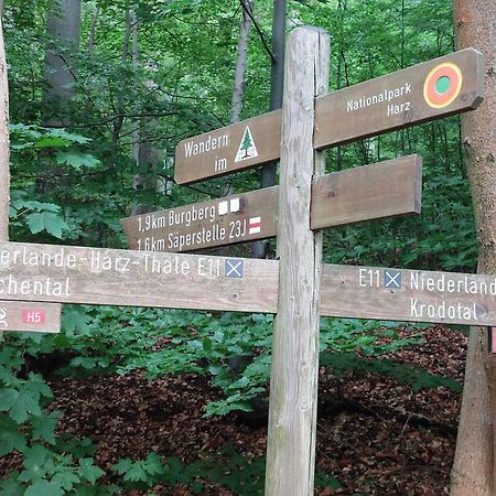 Burgberg-Blick Leilighet Bad Harzburg Eksteriør bilde