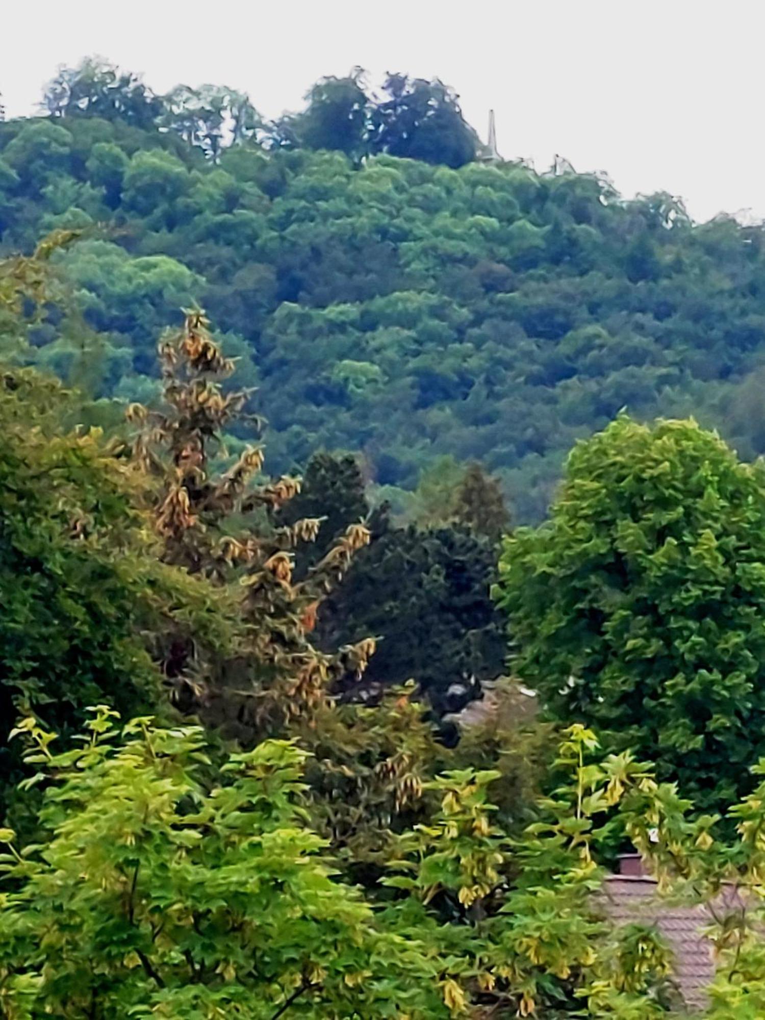 Burgberg-Blick Leilighet Bad Harzburg Eksteriør bilde