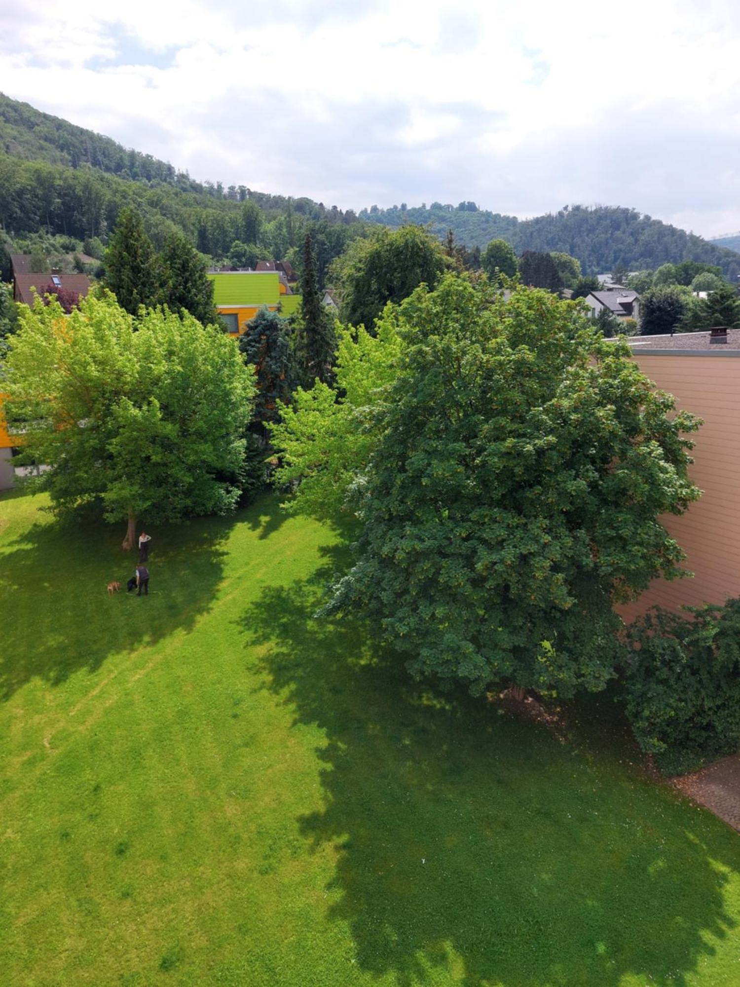 Burgberg-Blick Leilighet Bad Harzburg Eksteriør bilde